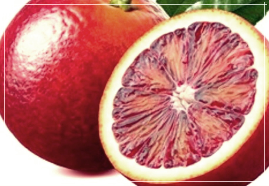 모로오렌지 효능, 먹는 방법 및 부작용