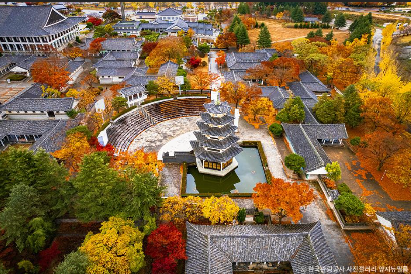 경주 단풍2