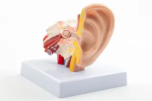 어지럼증의-원인