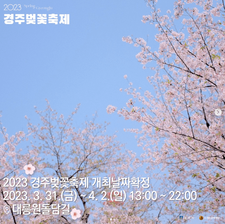 경주-벚꽃-사진-2023경주벚꽃축제-개최날짜는-2023년3월31일에서-4월2일로 확정되었습니다