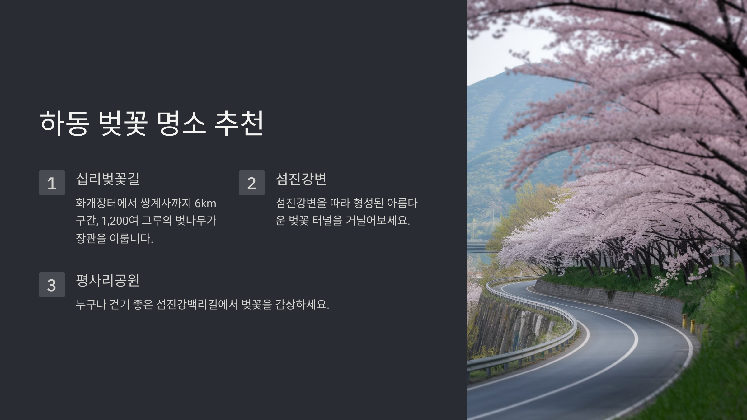 하동 벚꽃 개화 시기와 명소 총정리
