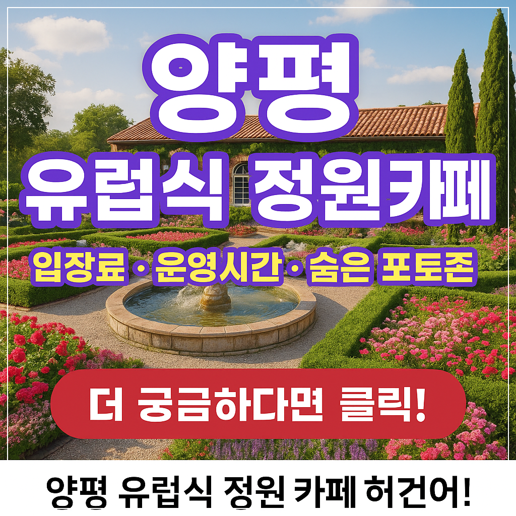 입장료·운영시간·숨은 포토존까지 한눈에 보기