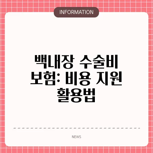백내장 수술비 보험: 비용 지원 활용법