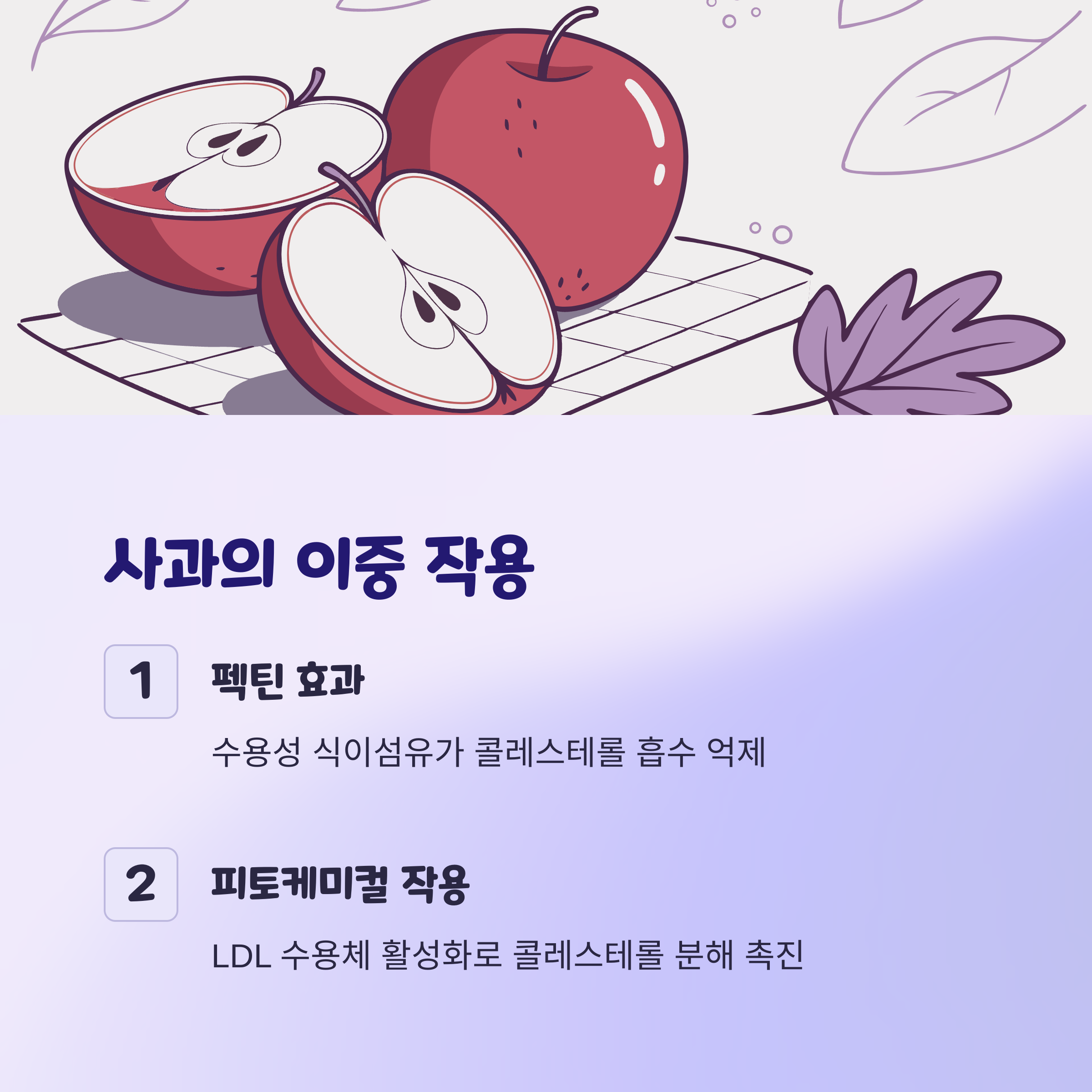 사과: 펙틴과 피토케미컬의 이중 작용