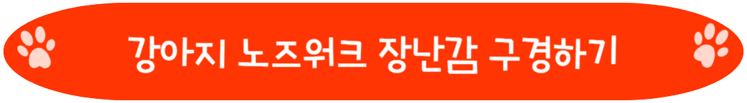 강아지 노즈워크 장난감