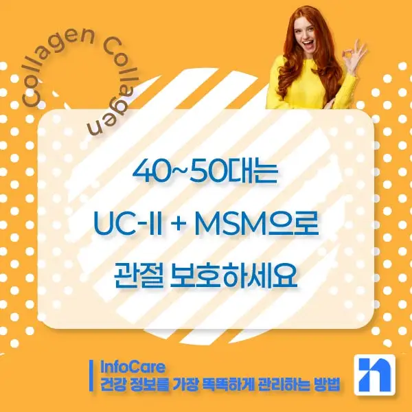 콜라겐의 효능과 복용방법