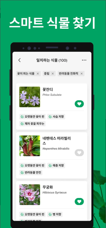 식물이름 찾기 어플, 식물 검색하고 찾기