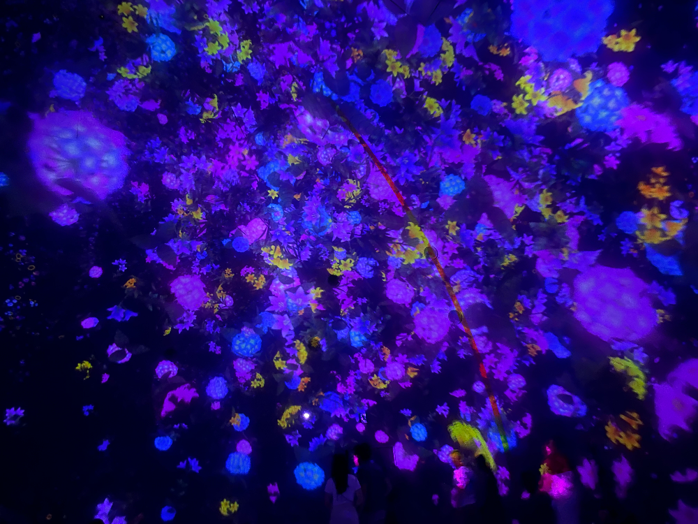 일본 도쿄 팀랩플래닛 관람-떨어지는 꽃들의 우주에 떠다니며