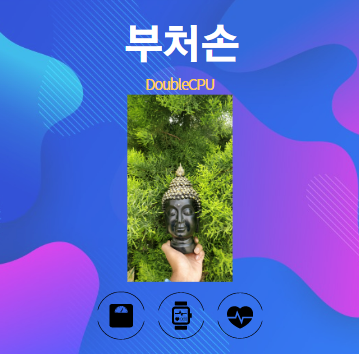 부처손 알아보기