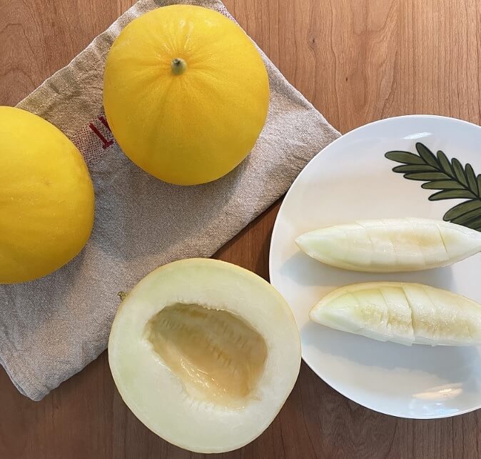 생방송투데이 이 주의 장바구니 경북 고령 쌍둥이메론농장 하미과 & 설향 멜론 주문방법 생방송투데이 3776회