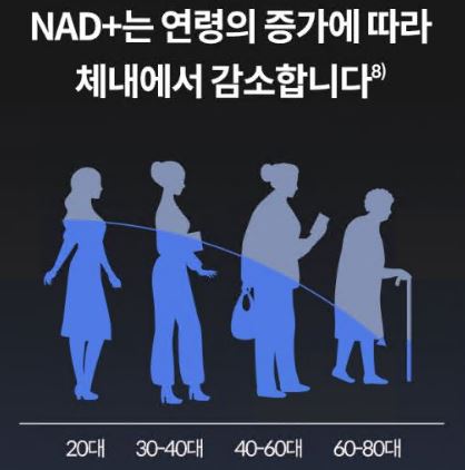 NMN-효능-엔엠엔-효능