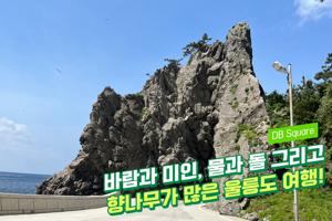 울릉도 여행 경비