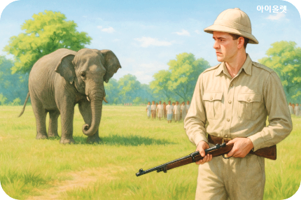 평화로운 코끼리와의 마주침