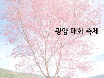 매화