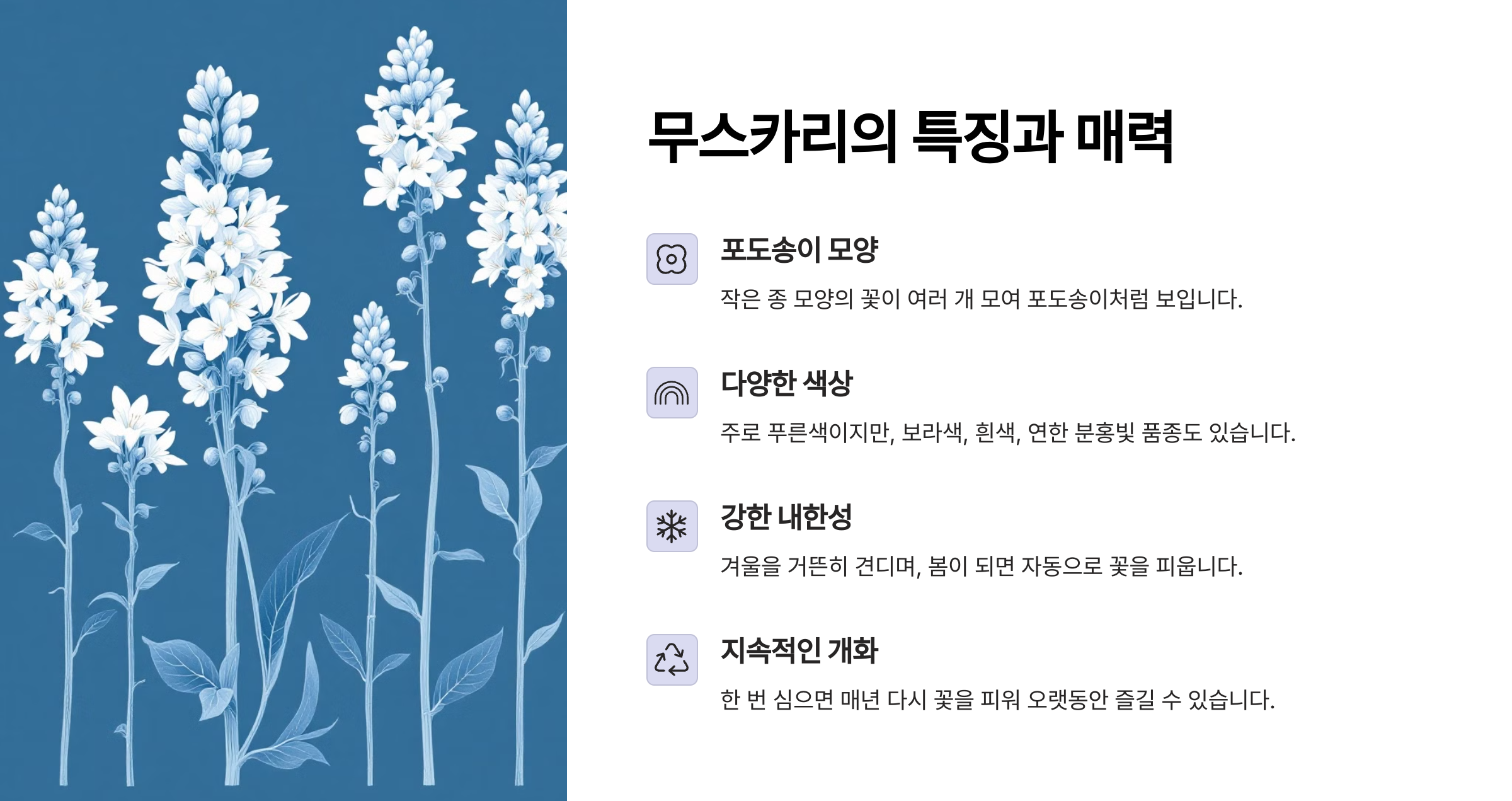 무리카리 꽃 사진