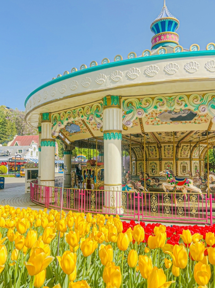 대구 이월드 튤립 축제