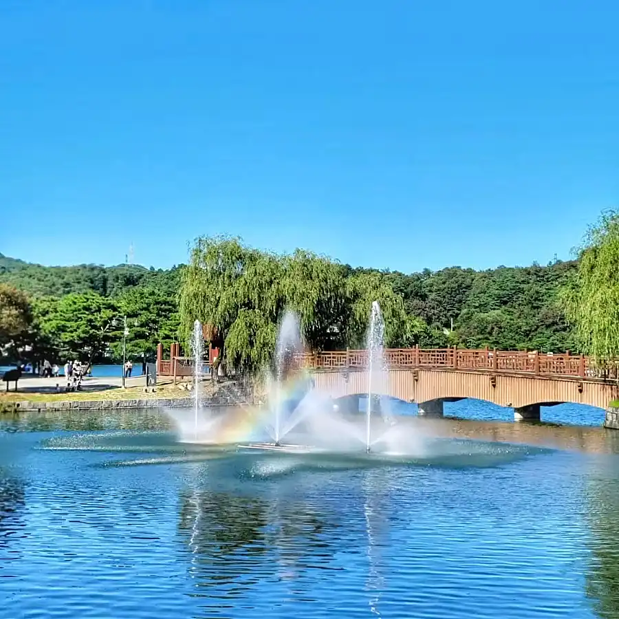 충주 가볼만한 곳