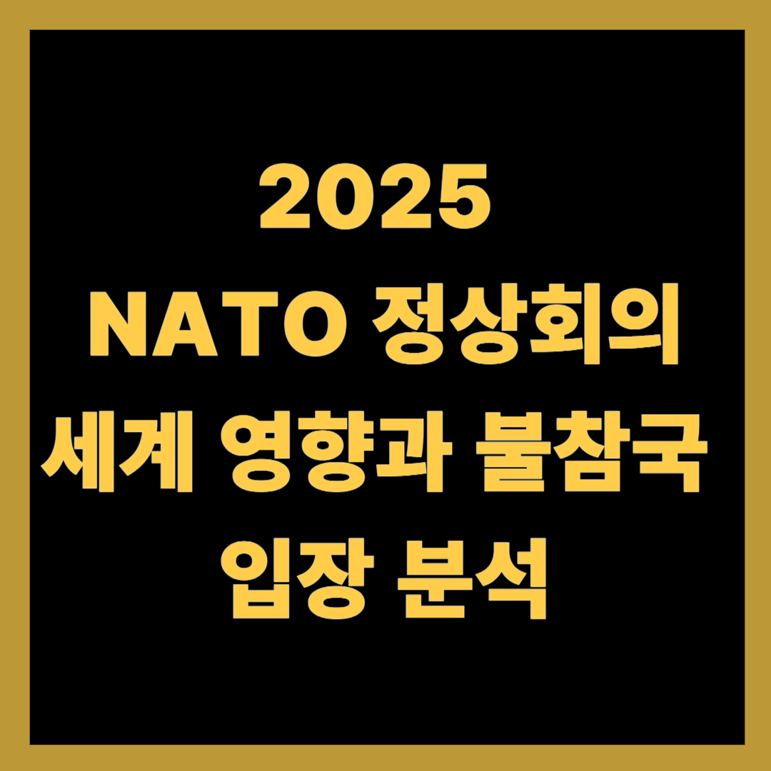 2025 NATO 정상회의: 세계 영향과 불참국 입장 분석