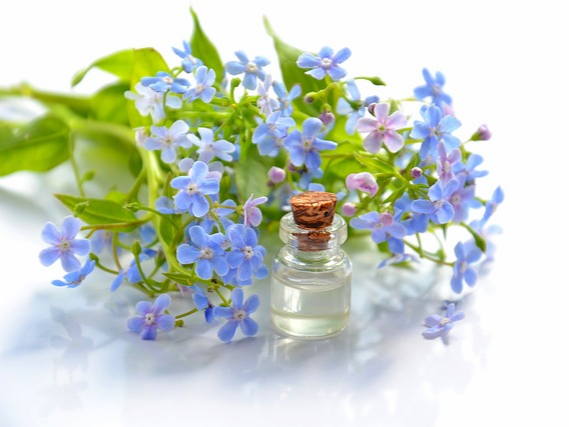 아로마오일 종류와 효능