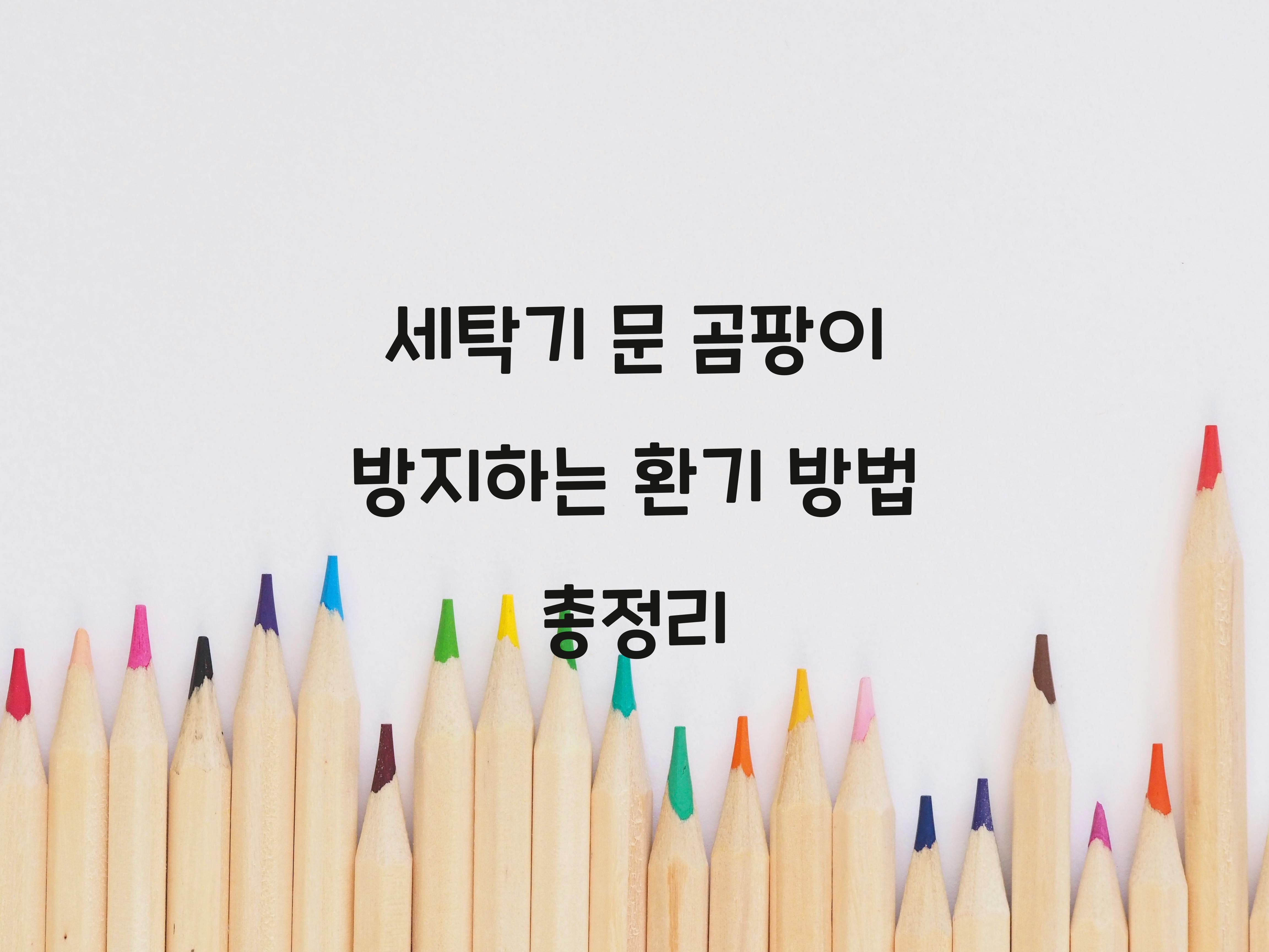 세탁기 문 곰팡이 방지하는 환기 방법