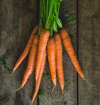 당근 효능 부작용 고르는법 칼로리