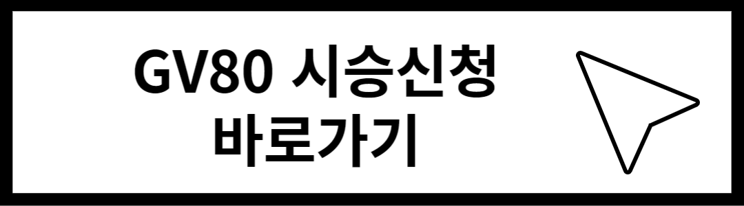 제네시스 SUV GV80