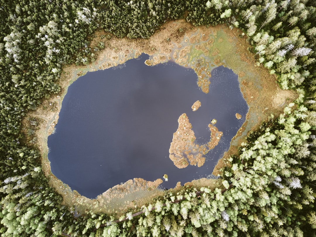 Geospatial
