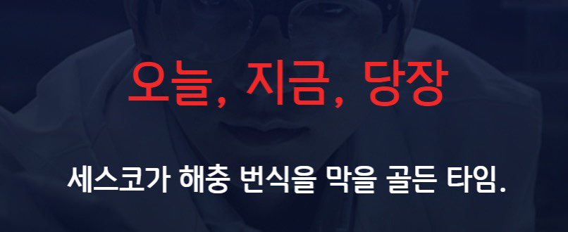 세스코 가정집 비용