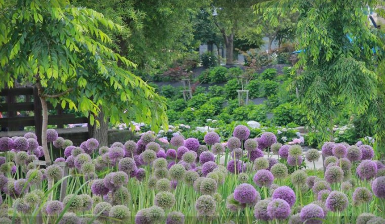 6월 국내 여행지 추천