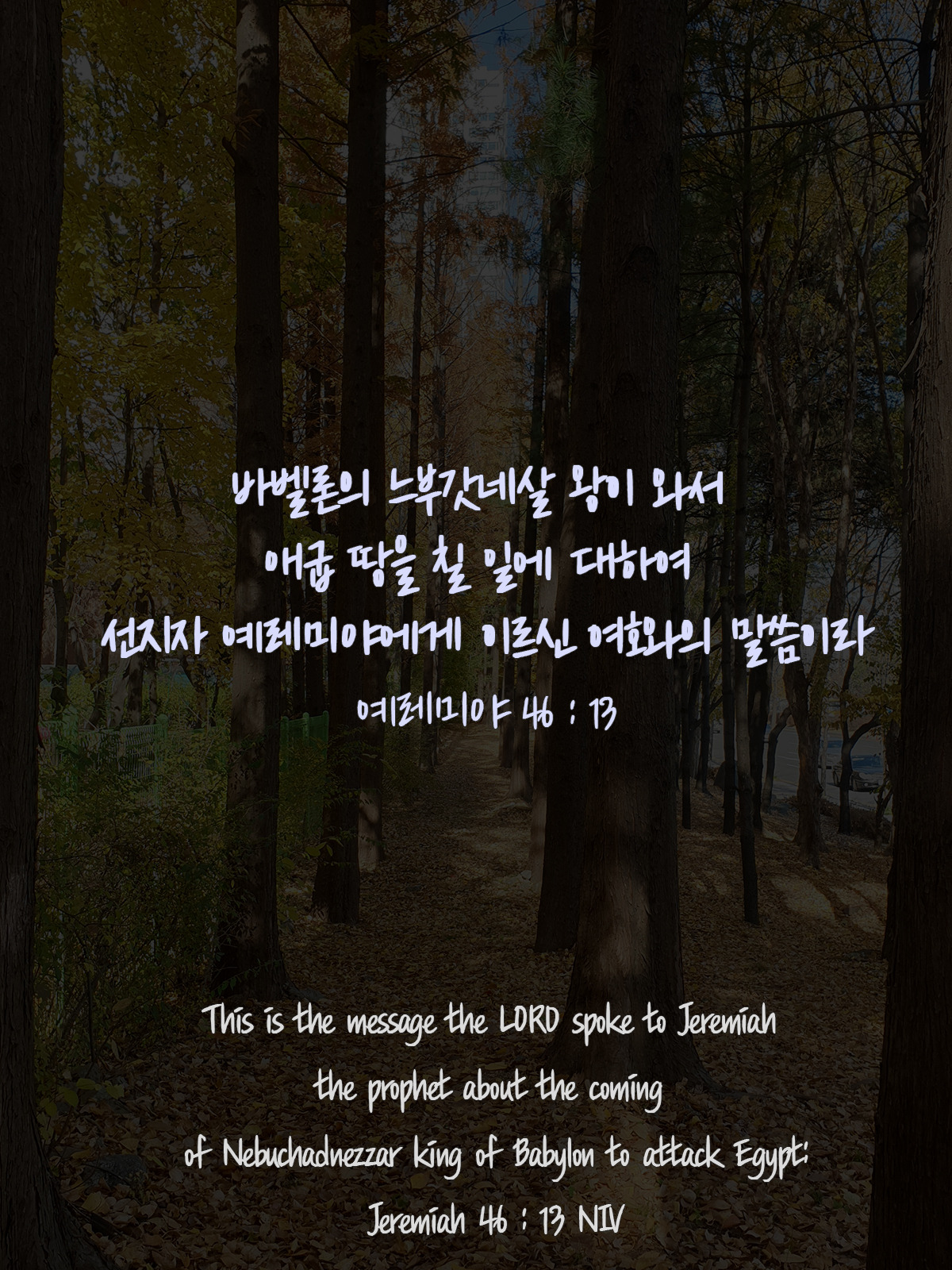 예레미야 46장