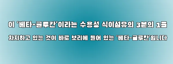  이 '베타-글루칸'이라는 수용성 식이섬유의 3분의 1을 차지하고 있는 것이 바로 보리에 들어 있는 '베타-글루칸'입니다