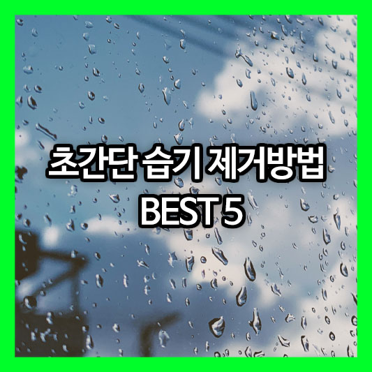 눅눅한 장마철, 집안을 뽀송하게 만드는 초간단 습기 제거방법 BEST 5