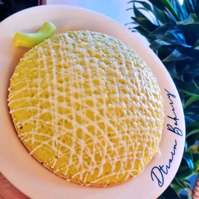 6시내고향 곡성 기차마을 곡성멜론 수플레 맛집