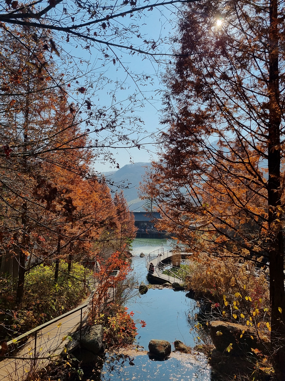 경기도 광주 곤지암 화담숲 단풍시즌, 가을 풍경 퍼레이드와 주변 맛집