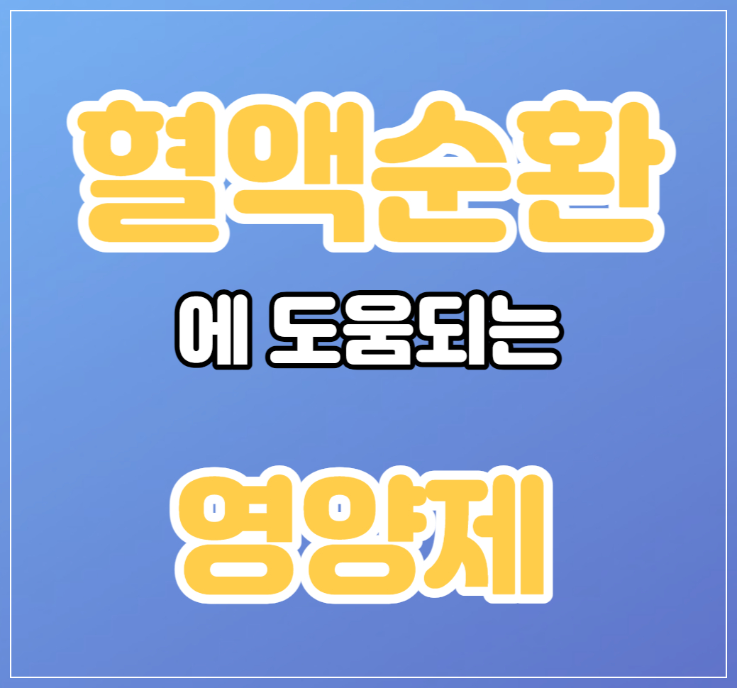 혈액순환에 도움되는 영양제