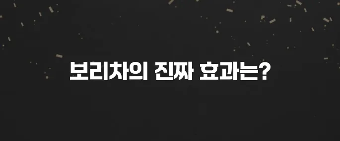 물 대신 마셔도 될까? 보리차 효능 5가지와 부작용