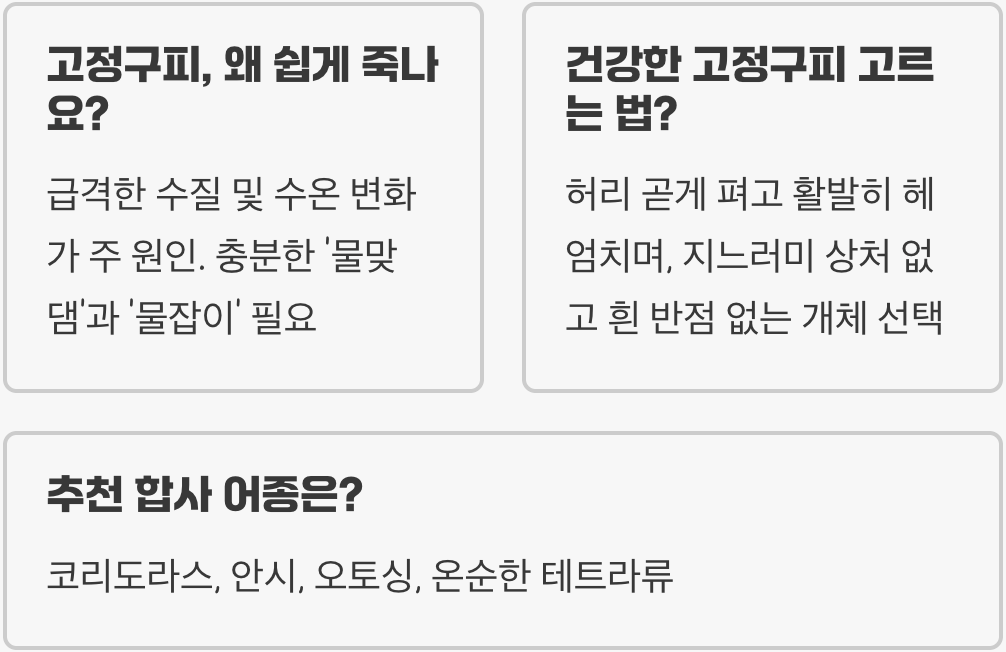 고정구피 키우기 A to Z (어항, 먹이, 수질 관리)