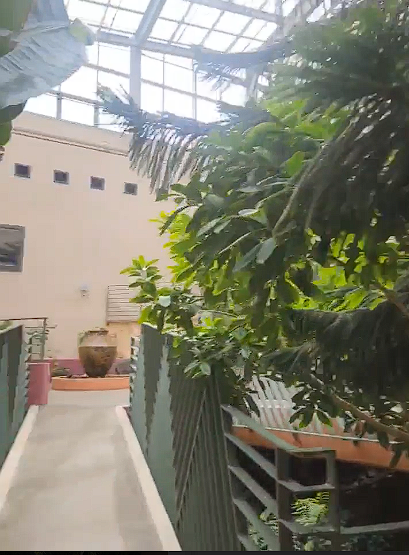 안산 식물원 매화, 카페 정보