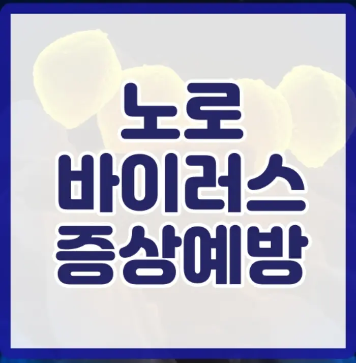 굴 노로바이러스 증상