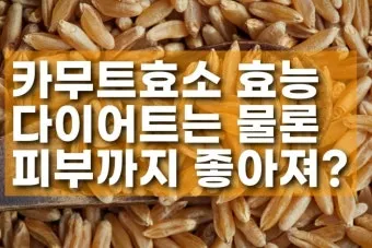 카무트 효소 부작용 효능 먹는법_11