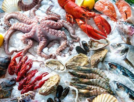 여러 해양 수산물 모습
