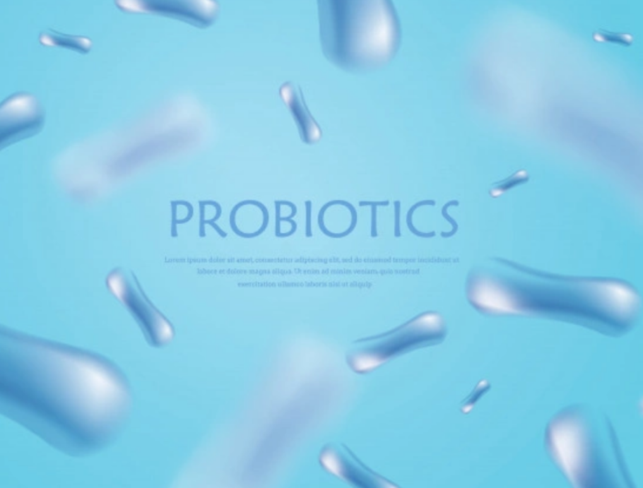 락토바실러스-가세리-BNR17-성분이-위를-통과하여-장에-도달하는-인체-모식도