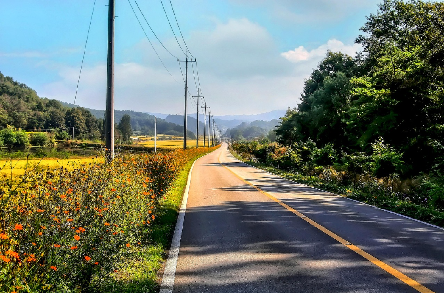 농산어촌 교육회복 프로젝트, 지역 소멸을 막을 수 있을까