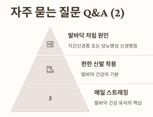자주 묻는 질문 Q&A 2