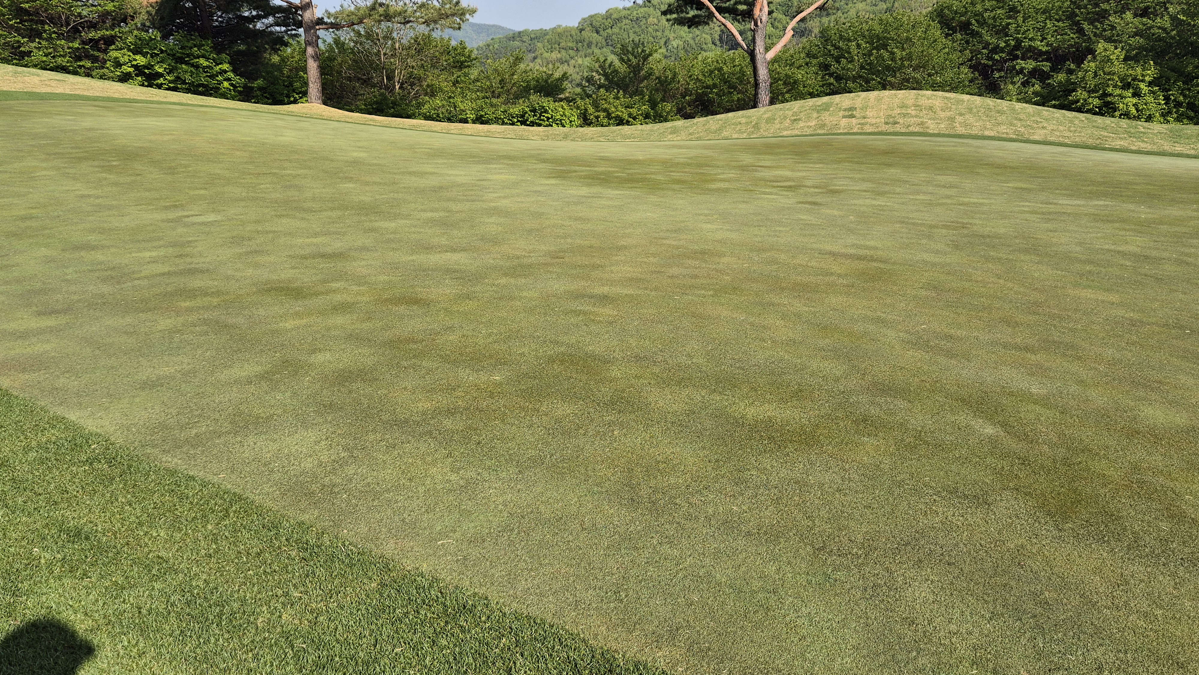 마에스트로cc 라운드 후기