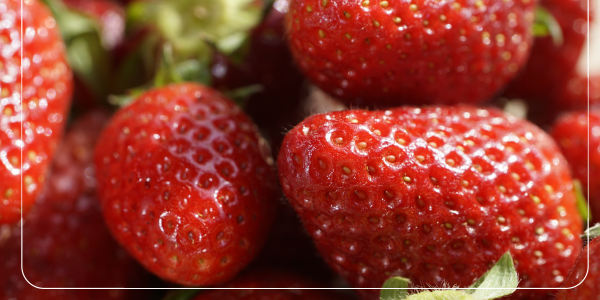 철분 부족과 빙의증 : 얼음을 먹고 싶어지는 이유와 그 외 증상들23