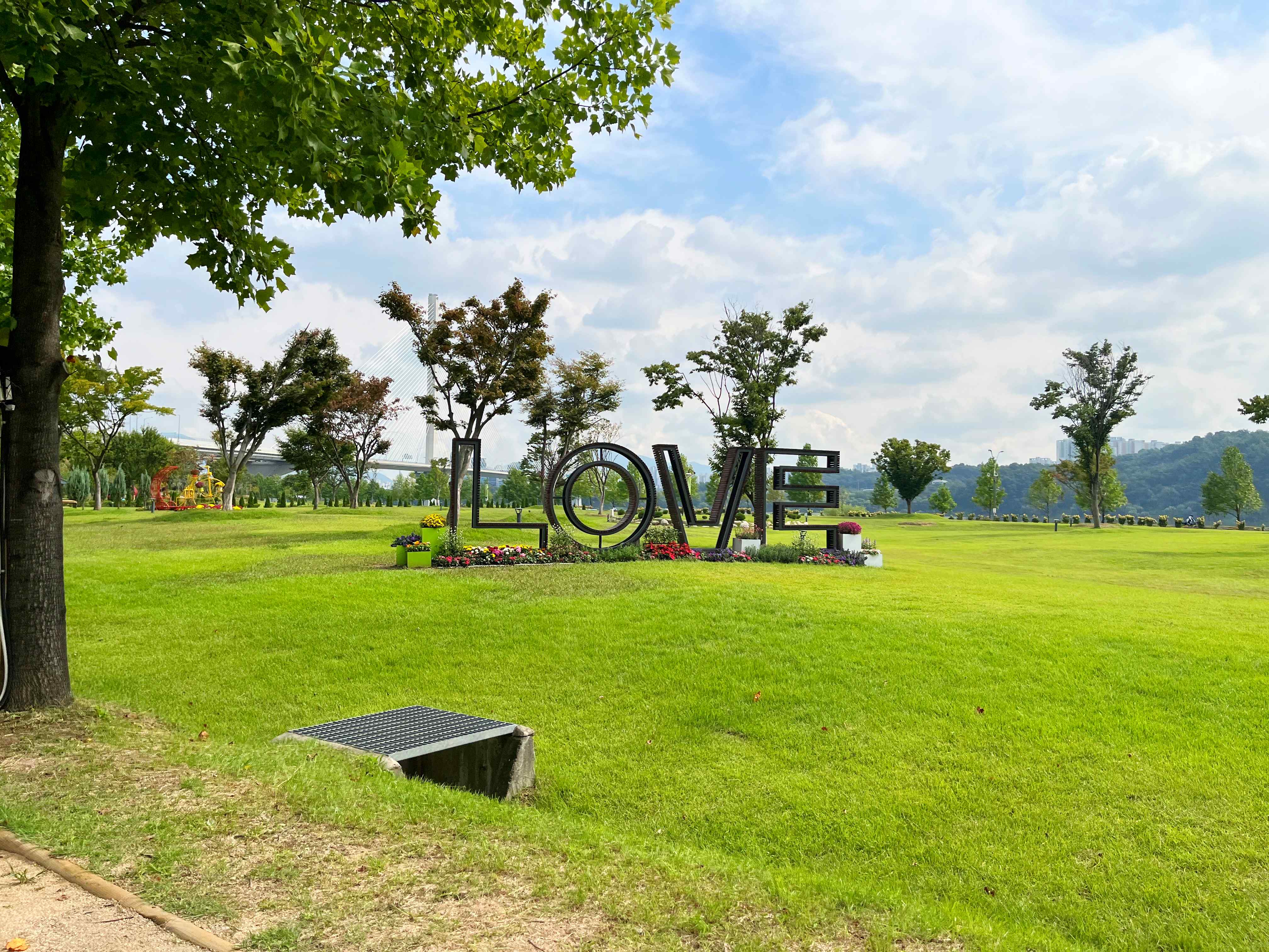 구리시민공원 코스모스