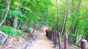 충청도 가을 단풍 명소