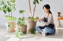 도시농업지도사