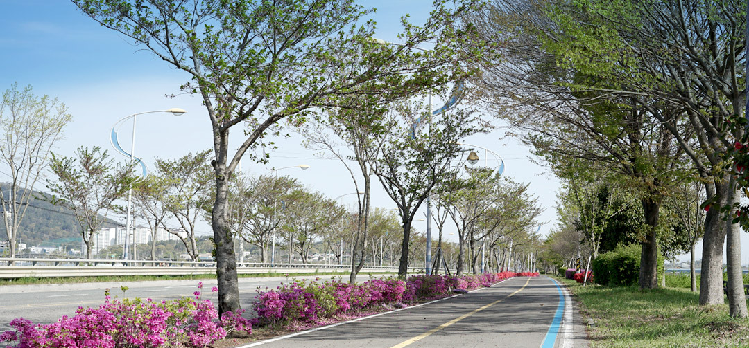 영산강 자전거길